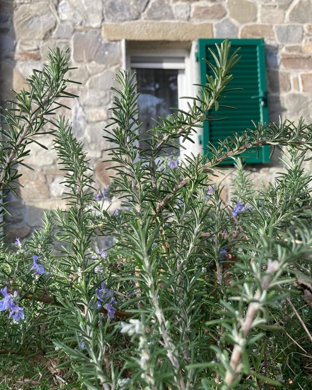 La Finestra Sul Parco Apartamento La Spezia Exterior foto